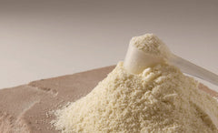 Digestive Enzyme vs. Probiotic: The Honest Answer on Which Comes First