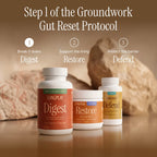Groundwork Gut Reset three-step lineup with Digest shown as step one