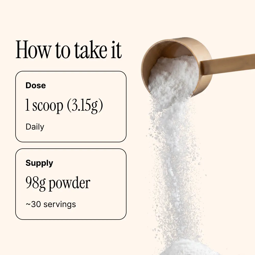 Scoop of Longplay Restore showing the 3.15 gram L-glutamine serving